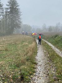 Auf Wanderschaft