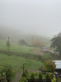 Blick aus dem Fenster