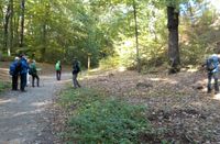 Gabelweg Hoher Stein