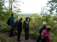 Aussicht nach Dresden von Villa Tautzschgenhof