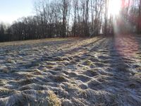 Winterwanderung