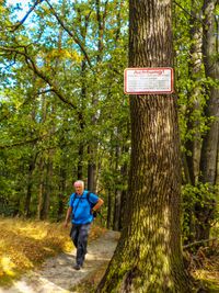 Stadtwald, am Gainitzbach