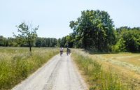 R&uuml;ckweg zwischen Gr&uuml;newalde u. Lauchhammer