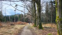 Grenzweg zur Lausche