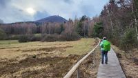 Hochmoor Lausche